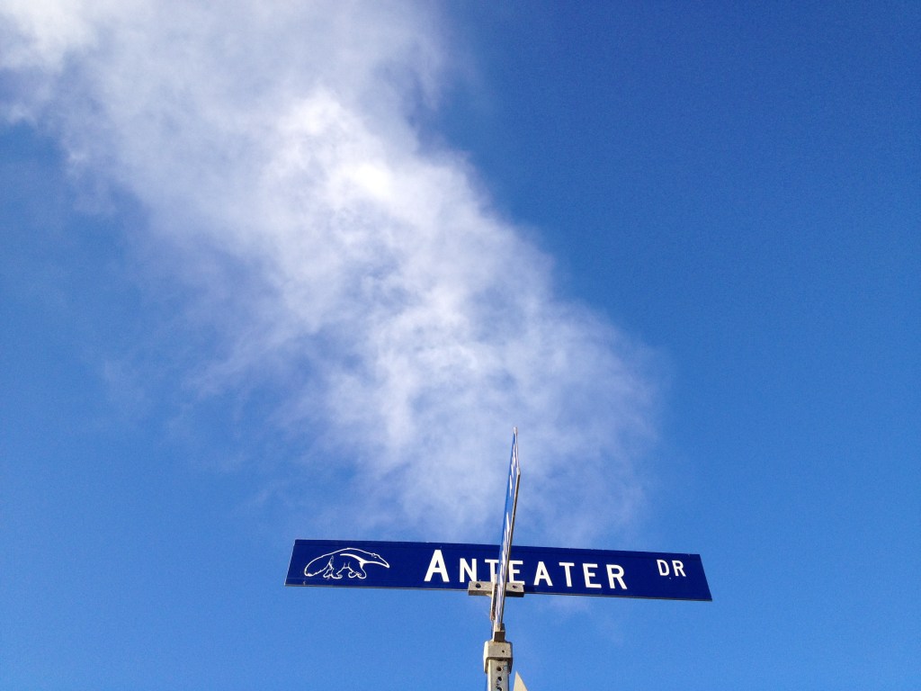 Anteater Drive street sign with clouds and blue sky in background